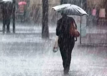 Heavy To Very Heavy Rainfall Likely In Seven Odisha Districts Tomorrow: IMD