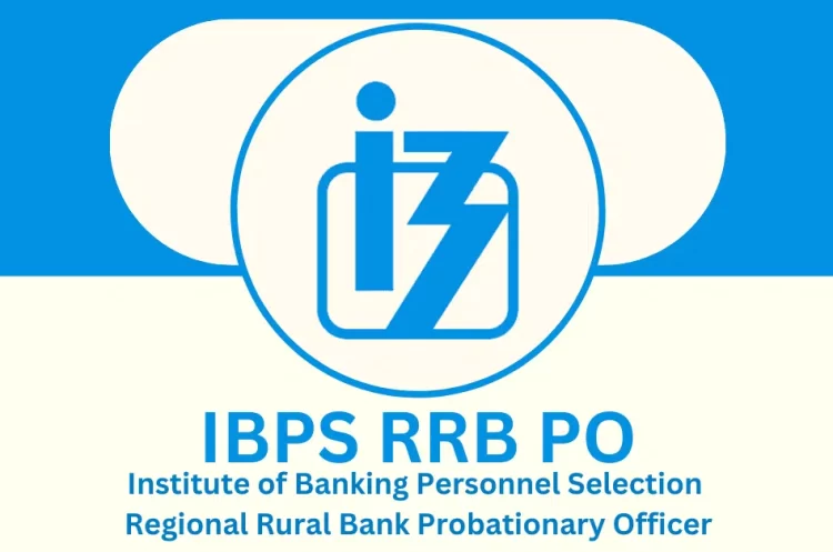 IBPS RRB PO 2024: Prelims results declared at ibps.in