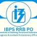 IBPS RRB PO 2024: Prelims results declared at ibps.in