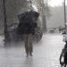 Odisha Weather: Twin Low-Pressure Areas Likely Over BoB; IMD Issues Rain Alerts