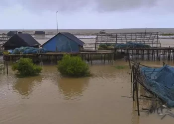 Cyclone Dana Aftermath: IMD Forecasts Flash Floods In 16 Odisha Districts