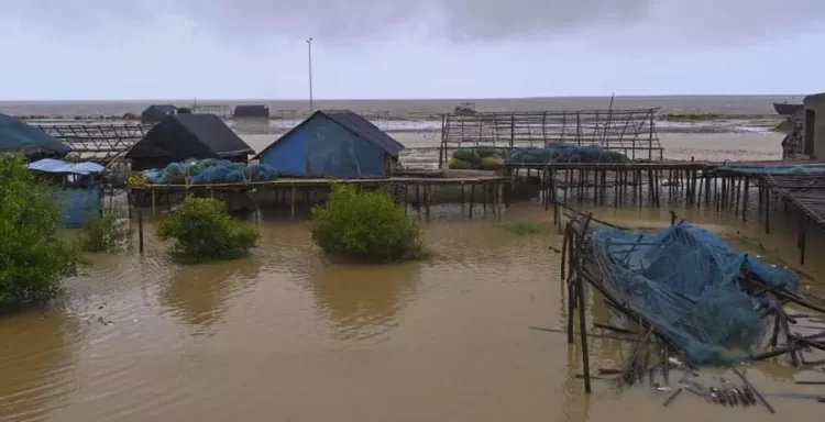 Cyclone Dana Aftermath: IMD Forecasts Flash Floods In 16 Odisha Districts