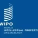 India secures position in top 10 countries in Patents, Trademarks, and Industrial Designs: WIPO 2024 Report