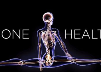 Best Ayurvedic remedies to strengthen and support your bone health