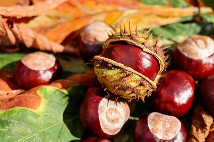 Suffering from Diabetes? Consume THIS dry fruit to reduce high blood sugar level, know its benefits