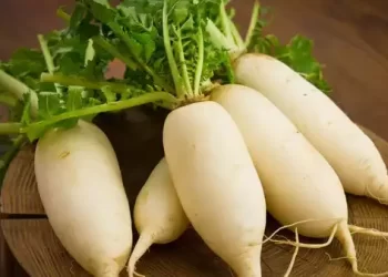 Consuming THIS winter vegetable helps remove dirty cholesterol stuck in veins, know its benefits