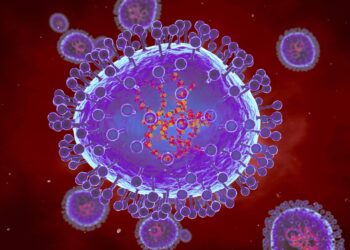 Update on HMPV (Human Metapneumovirus)