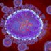 Update on HMPV (Human Metapneumovirus)
