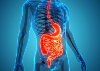 5 everyday habits that support gut health, maintain digestive balance