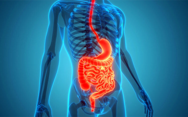 5 everyday habits that support gut health, maintain digestive balance