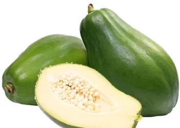 Eating RAW PAPAYA can help diabetics keep blood sugar in control