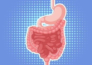 Digestive Health: 5 daily habits that can help improve your gut health
