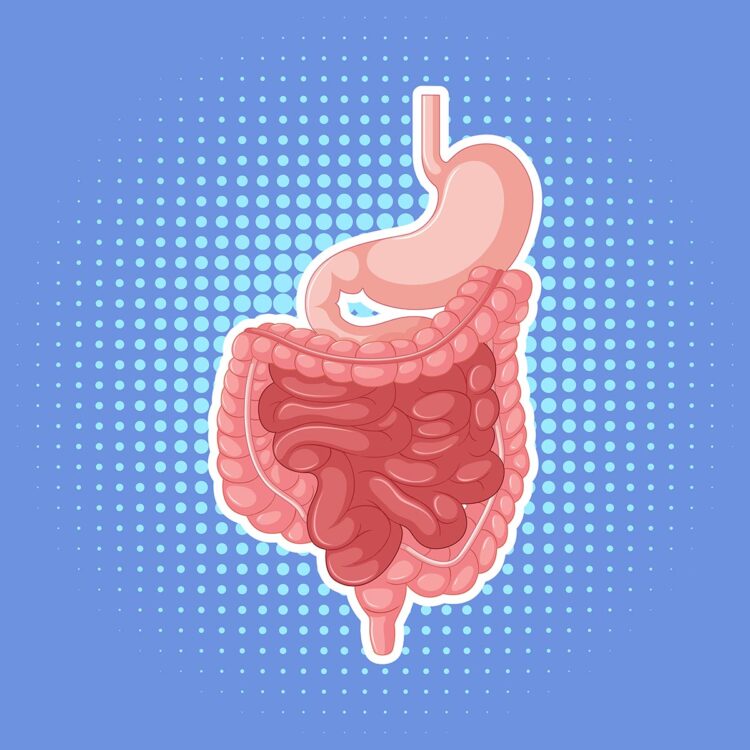 Digestive Health: 5 daily habits that can help improve your gut health