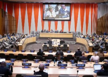 India Elected To UN Economic And Social Council With Pledge To Champion Development