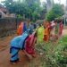 Odisha Launches Statewide Cleanliness Drive To Combat Water And Vector-Borne Diseases
