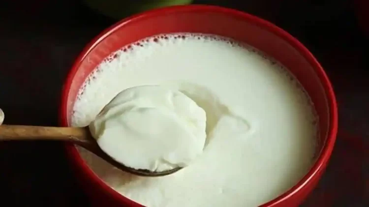 Avoid consuming curd during rainy season due to these health problems