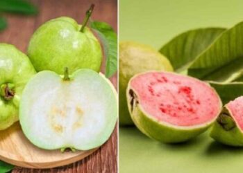 Pink vs white guava: Which is better for diabetics?