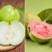 Pink vs white guava: Which is better for diabetics?