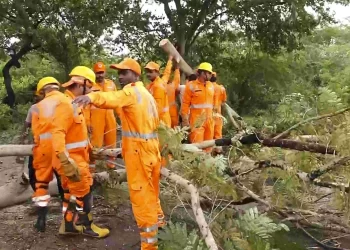 Cyclone Montha Spares Odisha, Minimal Damage Reported In Southern Districts