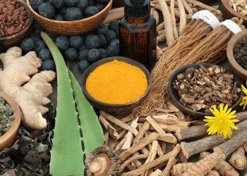 Cardiologist reveals 5 ancient Indian herbs to boost health naturally: