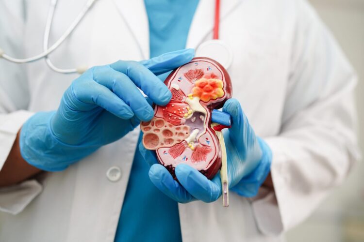 5 daily habits you must follow to prevent kidney stones and disease