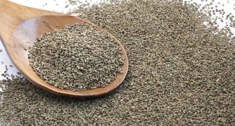 Ajwain health benefits: Reasons to eat soaked carrom seeds every day