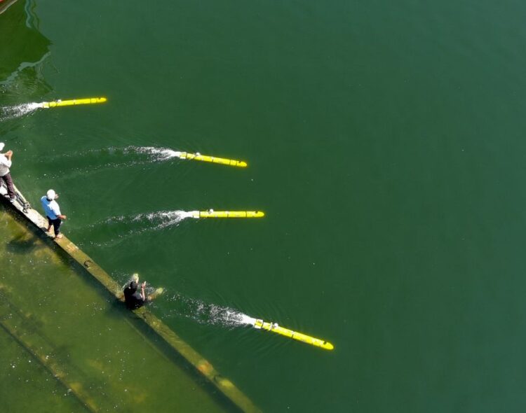 DRDO develops new generation Man-portable Autonomous Underwater Vehicles for mine countermeasure missions