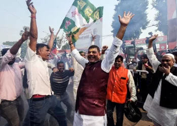 Bihar Election: Modi's alliance's decisive win in Indian state election; Full list of winners
