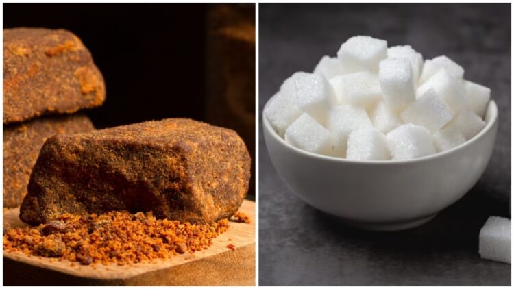 Jaggery vs sugar: Nutritionist explains why gud must be a winter pick for better immunity and easier digestion