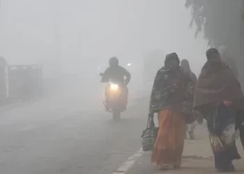Cold Wave Alert For Odisha: IMD Issues Yellow Warning For Several Districts