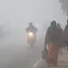 Cold Wave Alert For Odisha: IMD Issues Yellow Warning For Several Districts