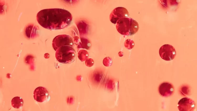 Why low haemoglobin should not be ignored: Doctor explains the hidden risks