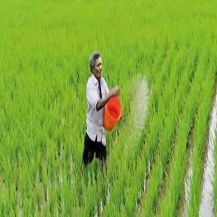 India Achieves Unprecedented Production, Registers Bumper Exports