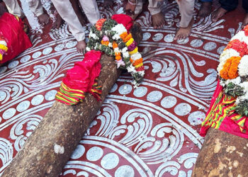 Chariot Construction For Puri’s Annual Rath Yatra Commences On Akshaya Trutiya