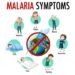 Malaria - including symptoms, treatment and prevention