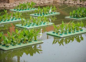 Odisha Emerges Top Performer Under AMRUT 2.0