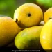 Are Mangoes Good For Your Blood Pressure? What You Need To Know