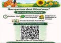 'Oilseeds Kisaan Mitra', India's First Nationwide WhatsApp AI Advisory for Oilseed Farmers