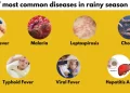 Dengue to hepatitis A: Doctor lists 7 diseases that become more common during monsoon