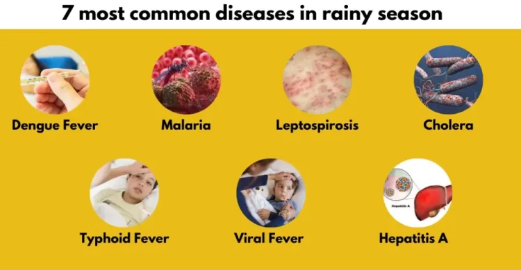 Dengue to hepatitis A: Doctor lists 7 diseases that become more common during monsoon