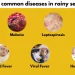 Dengue to hepatitis A: Doctor lists 7 diseases that become more common during monsoon