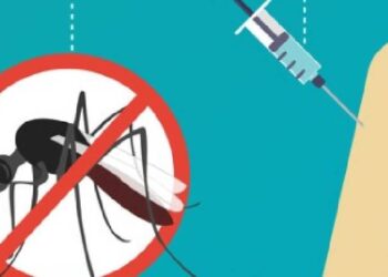 India gets its first dengue vaccine QDENGA: Who can take it, how it works and why it matters