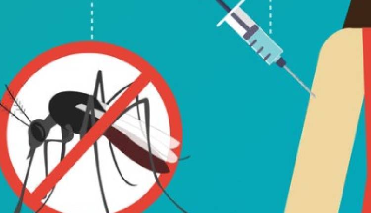 India gets its first dengue vaccine QDENGA: Who can take it, how it works and why it matters