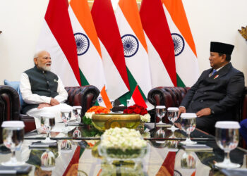 Prime Minister holds official talks with President of Indonesia