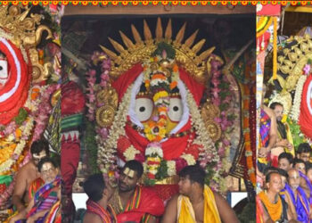 Suna Besha : Lord Jagannath and his siblings flaunt Golden Attire