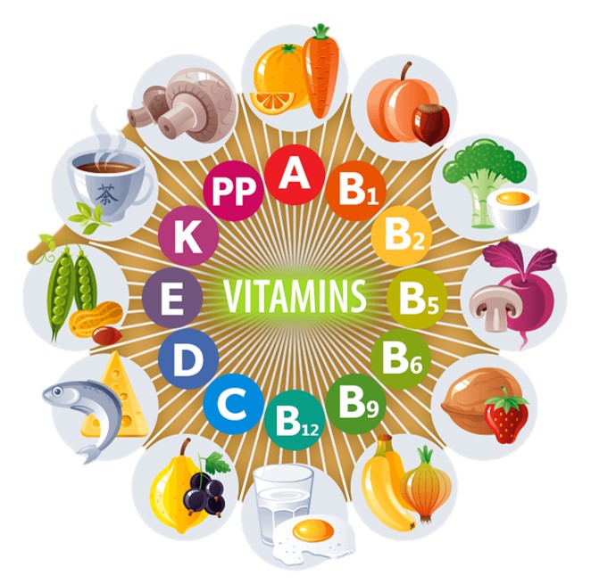 Not All Vitamins Work The Same: Here's What Each Organ Needs