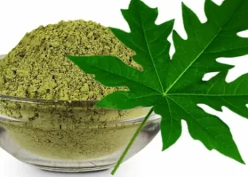 Papaya Leaves As A Dengue Treatment Protocol: Does It Actually Work?