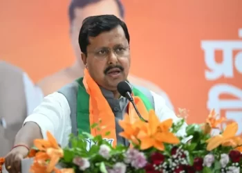 BJP announces Nitin Nabin's new team: Full list of 13 VPs, 8 general secretaries, 16 secretaries among others